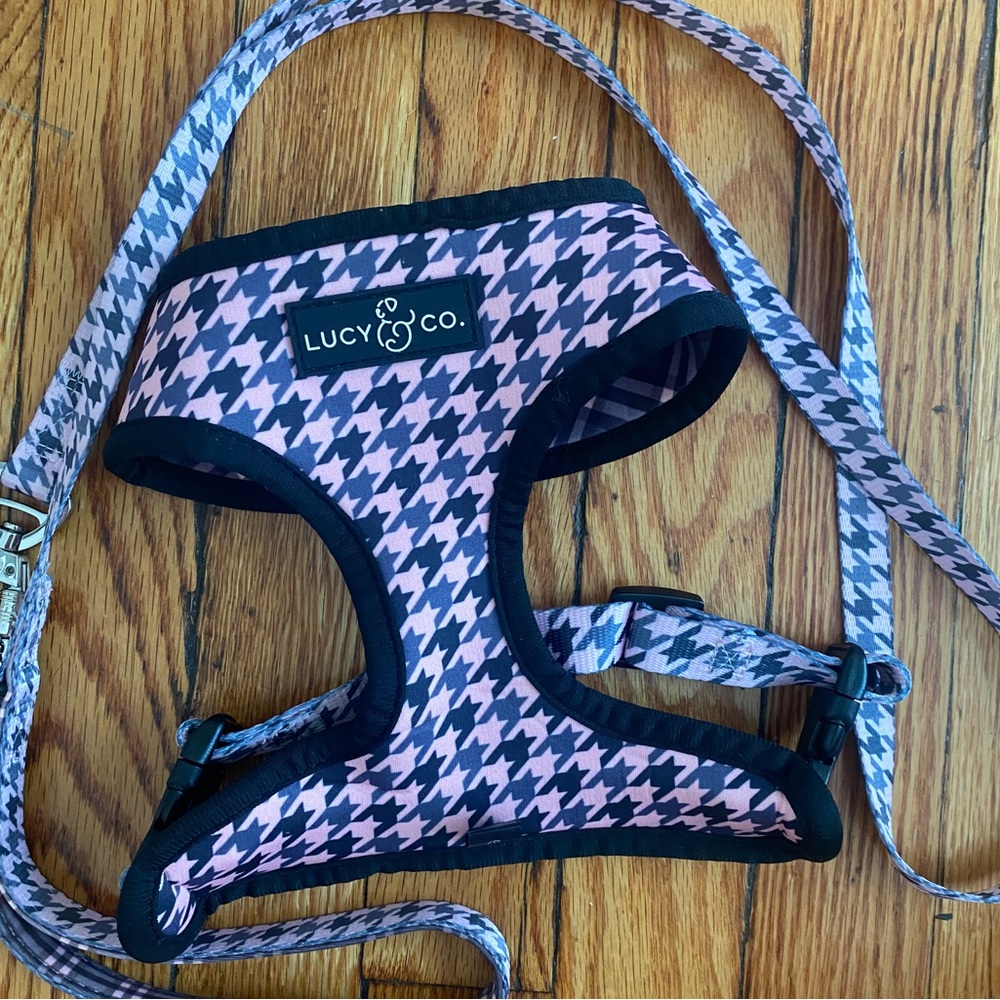 Lucy & Co Reversible Harness and Leash Size Small